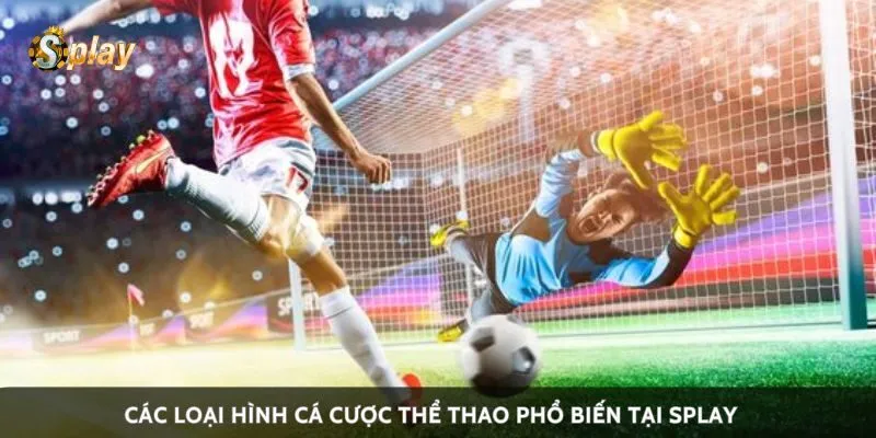 Các loại hình cá cược thể thao phổ biến tại Splay