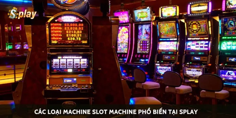 Các loại machine slot machine phổ biến tại Splay