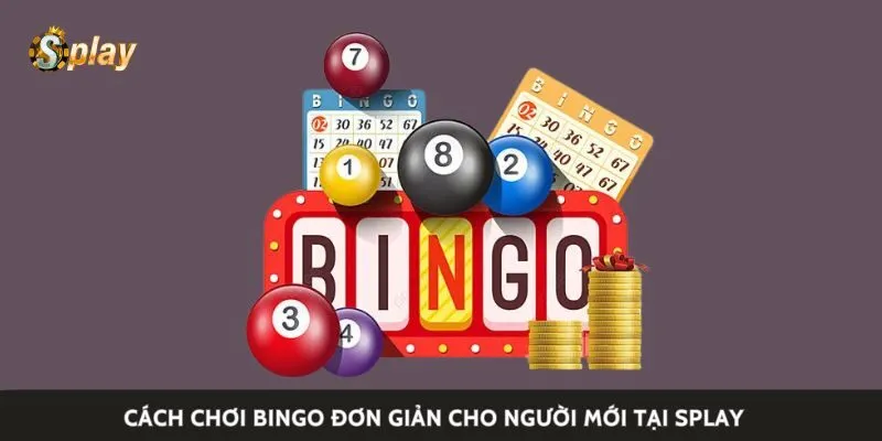 Cách chơi bingo đơn giản cho người mới tại Splay