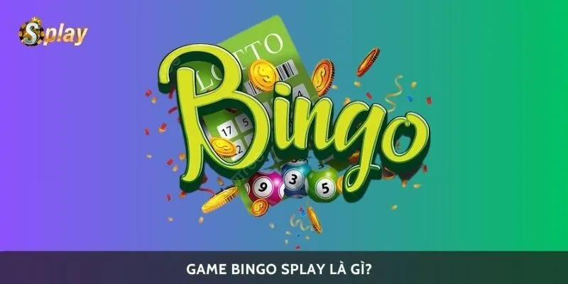 Game bingo Splay là gì?