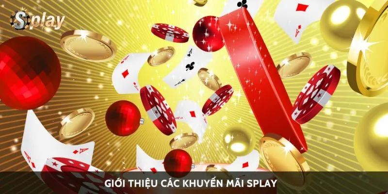 Giới thiệu các khuyến mãi Splay