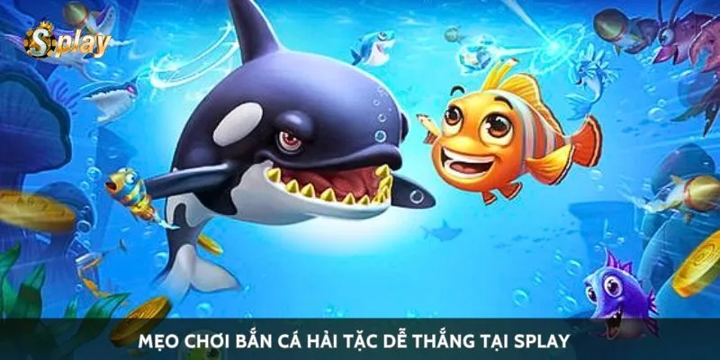 Mẹo chơi bắn cá hải tặc dễ thắng tại Splay