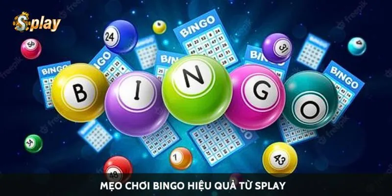 Mẹo chơi bingo hiệu quả từ Splay