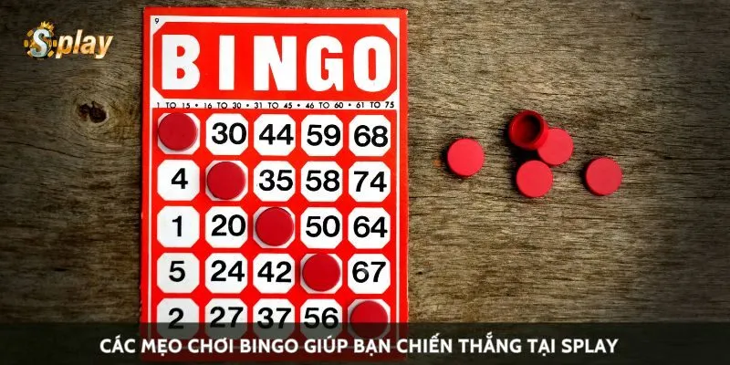 Các mẹo chơi bingo giúp bạn chiến thắng tại Splay