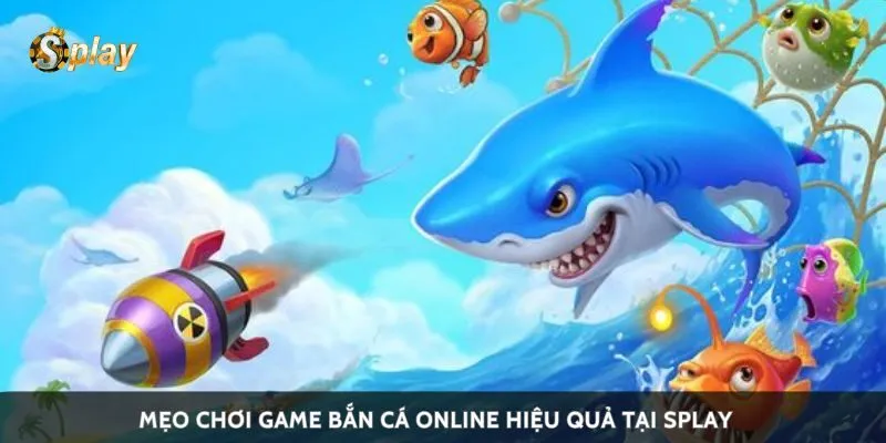 Mẹo chơi game bắn cá online hiệu quả tại Splay