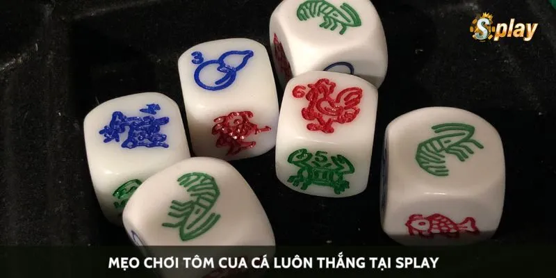 Mẹo chơi Tôm Cua Cá luôn thắng tại Splay