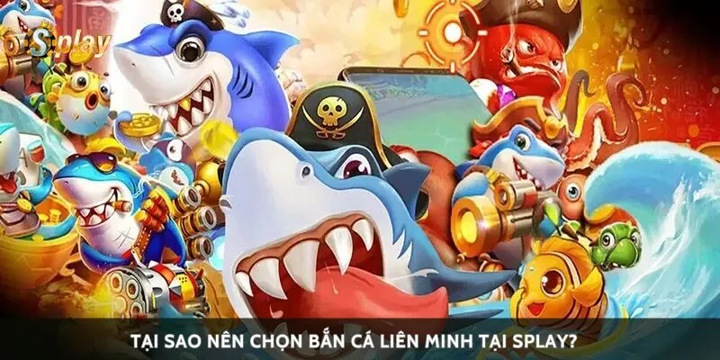 Tại sao nên chọn bắn cá liên minh tại Splay?