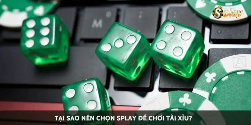 Tại sao nên chọn Splay để chơi tài xỉu?