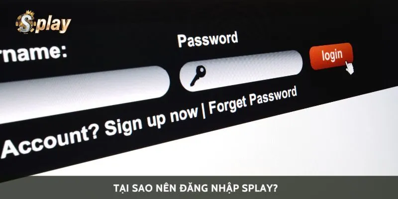 Tại sao nên đăng nhập Splay?