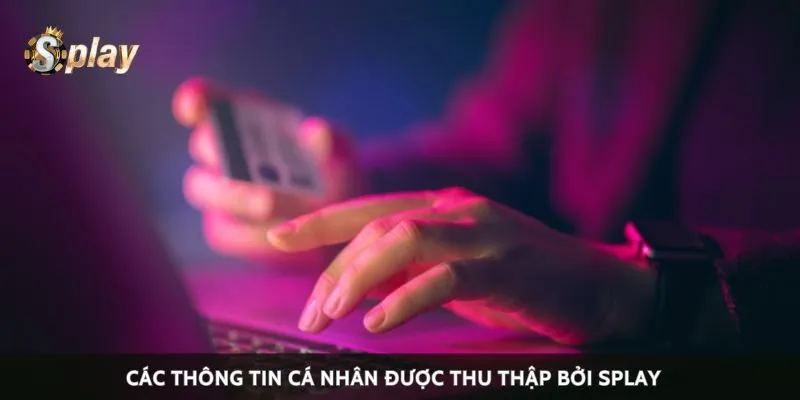 Các thông tin cá nhân được thu thập bởi Splay