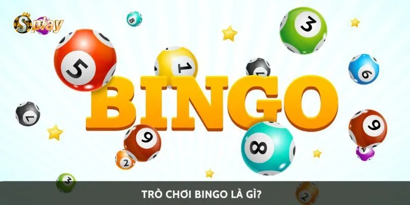 Trò chơi bingo là gì?